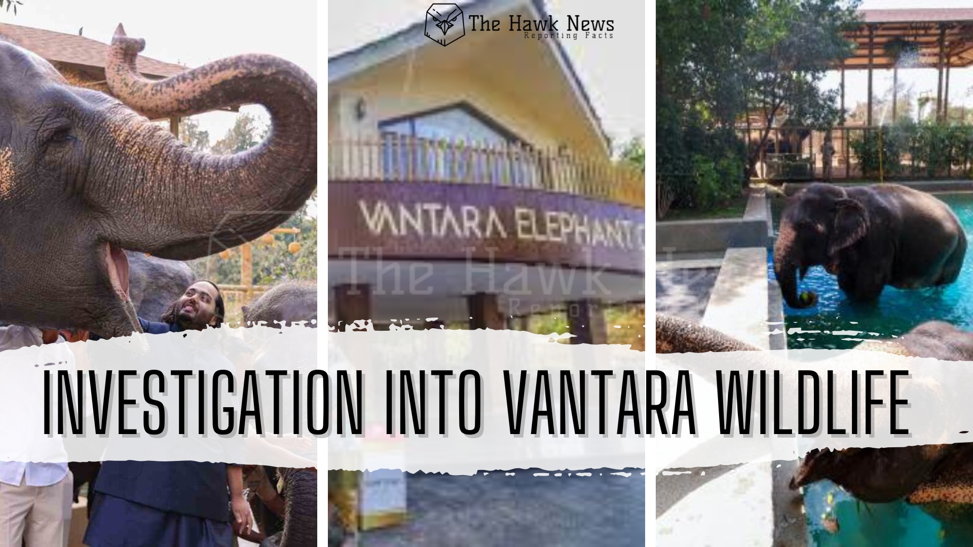 Supreme Court Orders Investigation into Vantara Wildlife Center