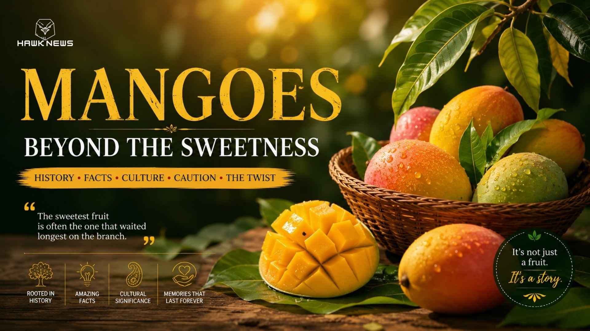 The Mango Tree Never Hurries and Neither Does Wisdom